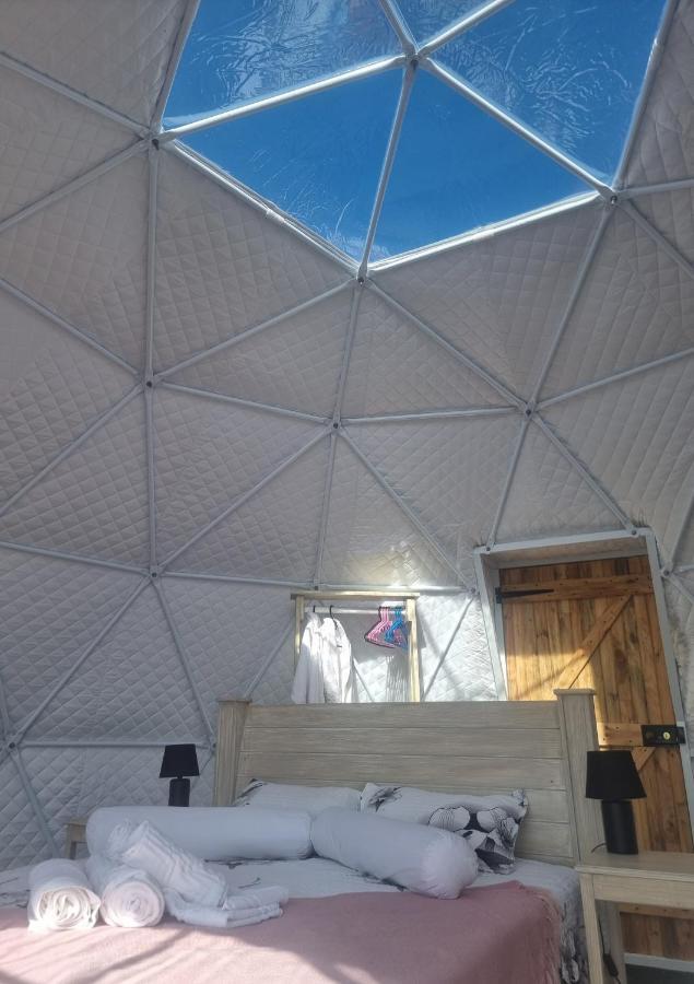 Luxe tent Pom Gratz - Ecodomes *