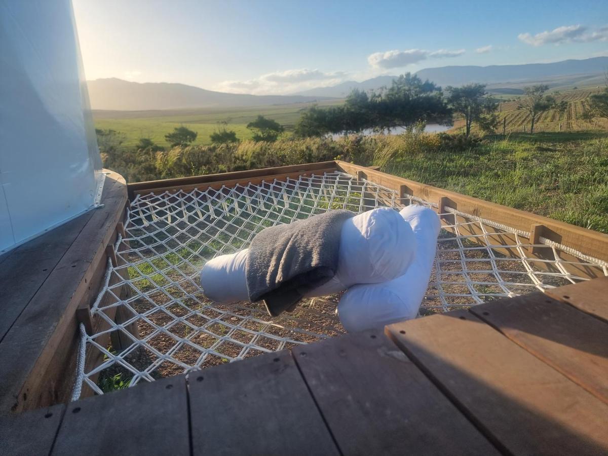 Pom Gratz - Ecodomes Luxe tent Hartebeesrivier
