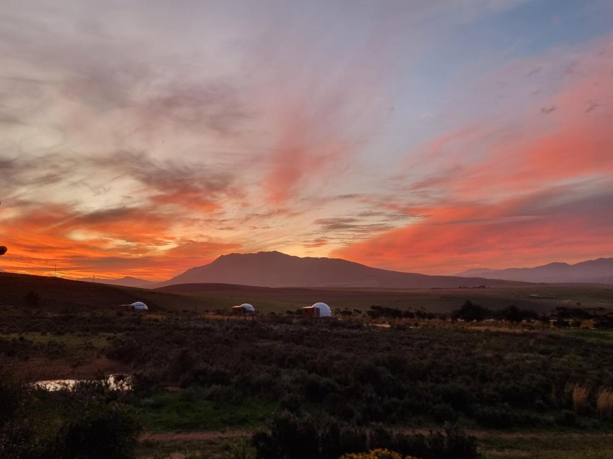 Luxe tent Pom Gratz - Ecodomes