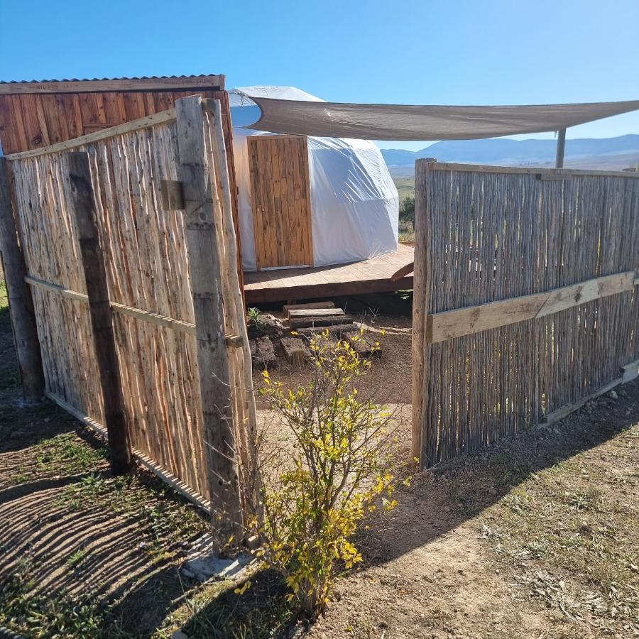 Luxe tent Pom Gratz - Ecodomes