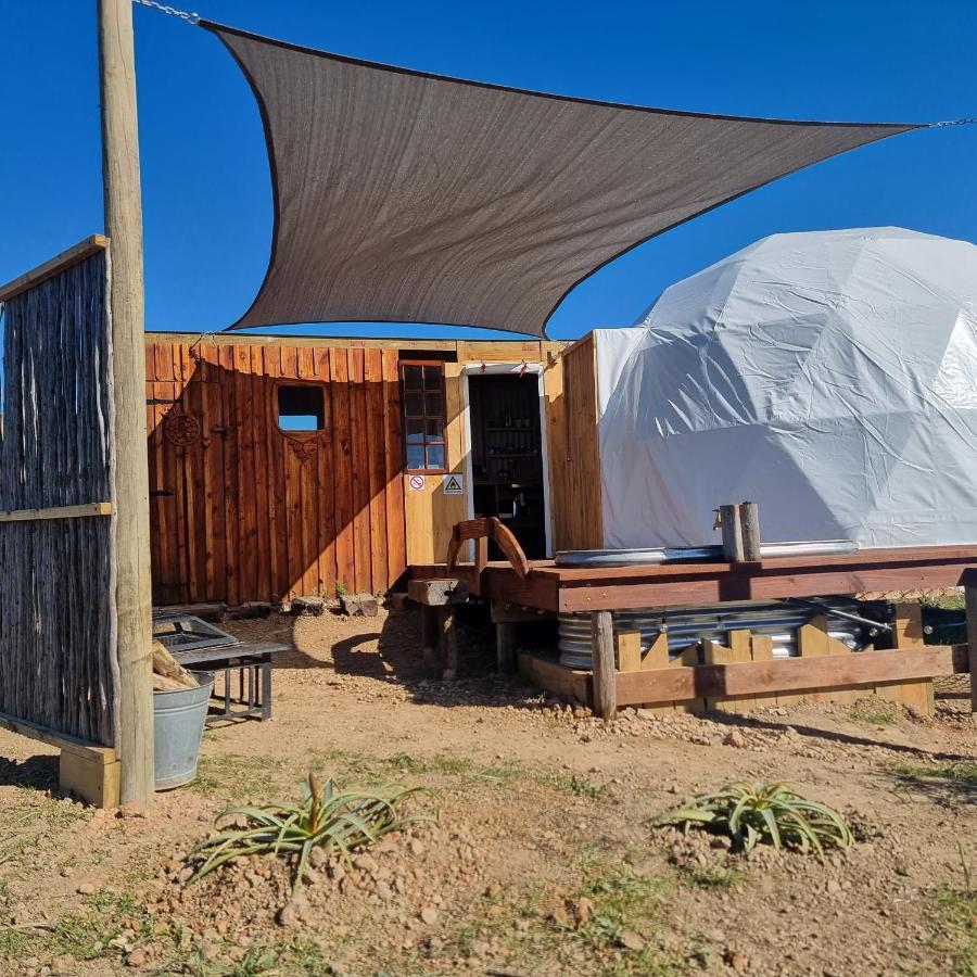Luxe tent Pom Gratz - Ecodomes